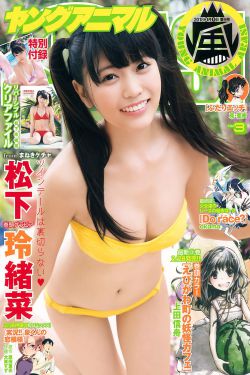 养了八年的金丝雀飞走啦